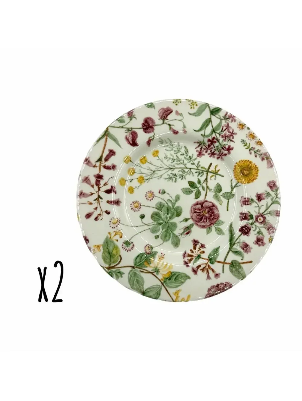 Set of 2 Royal Stafford Hedgerow Wildflowers Earthenware 8.5” Salad Plates